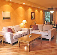 Living Room Staged by Debra Gould